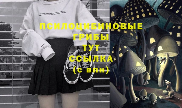 молекула духа Мегион